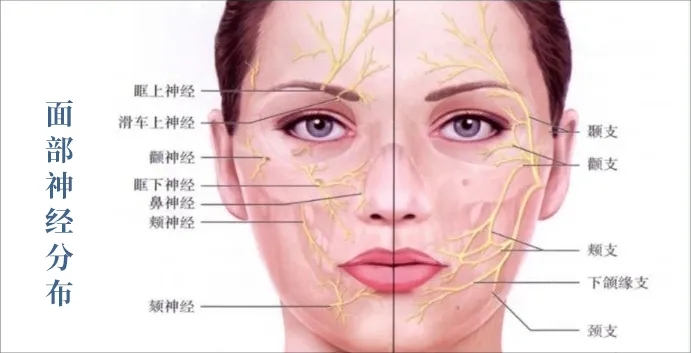 超全面的「玻尿酸」高阶注射使用指南来了！